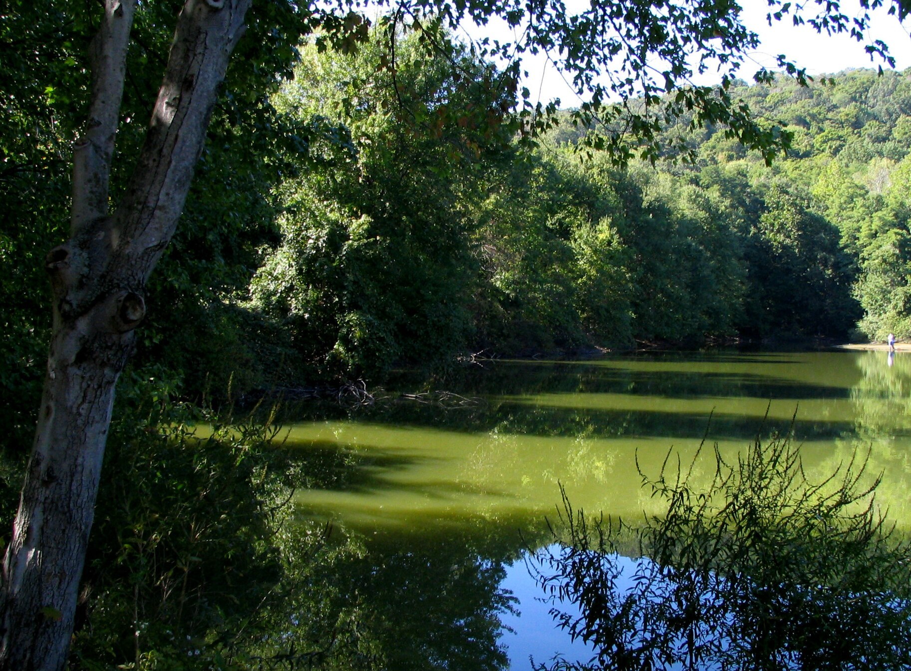 Scarlet Oak Pond, Ramapo Valley