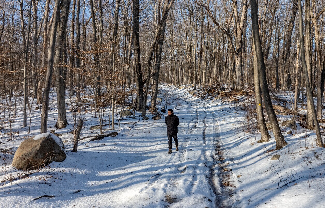 Farny State Park near Kinnelon