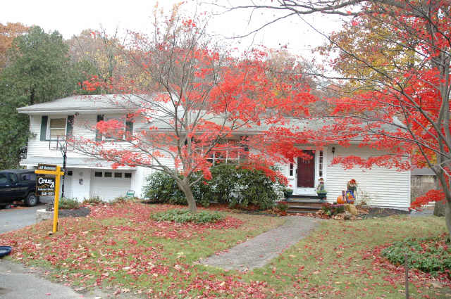 9 WEST BUENA VISTA WAY, Bloomingdale Boro, NJ 07403